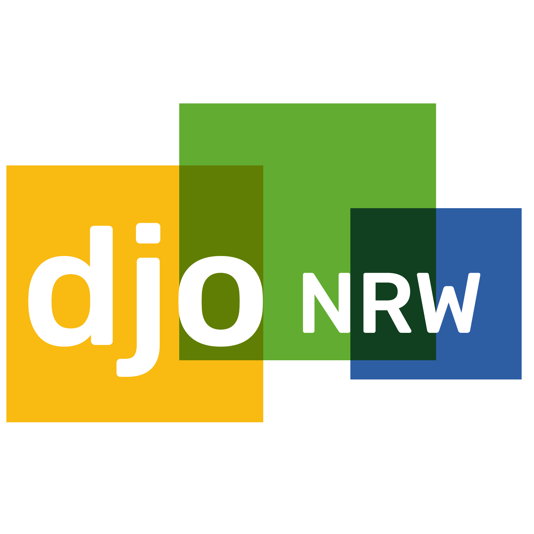 Logo djoNRW - Deutsche Jugend in Europa