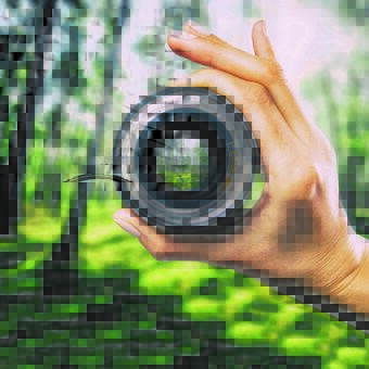 photography view camera photographer lens forest trees lense through video photo digital glass hand blurred focus people concept - stock image