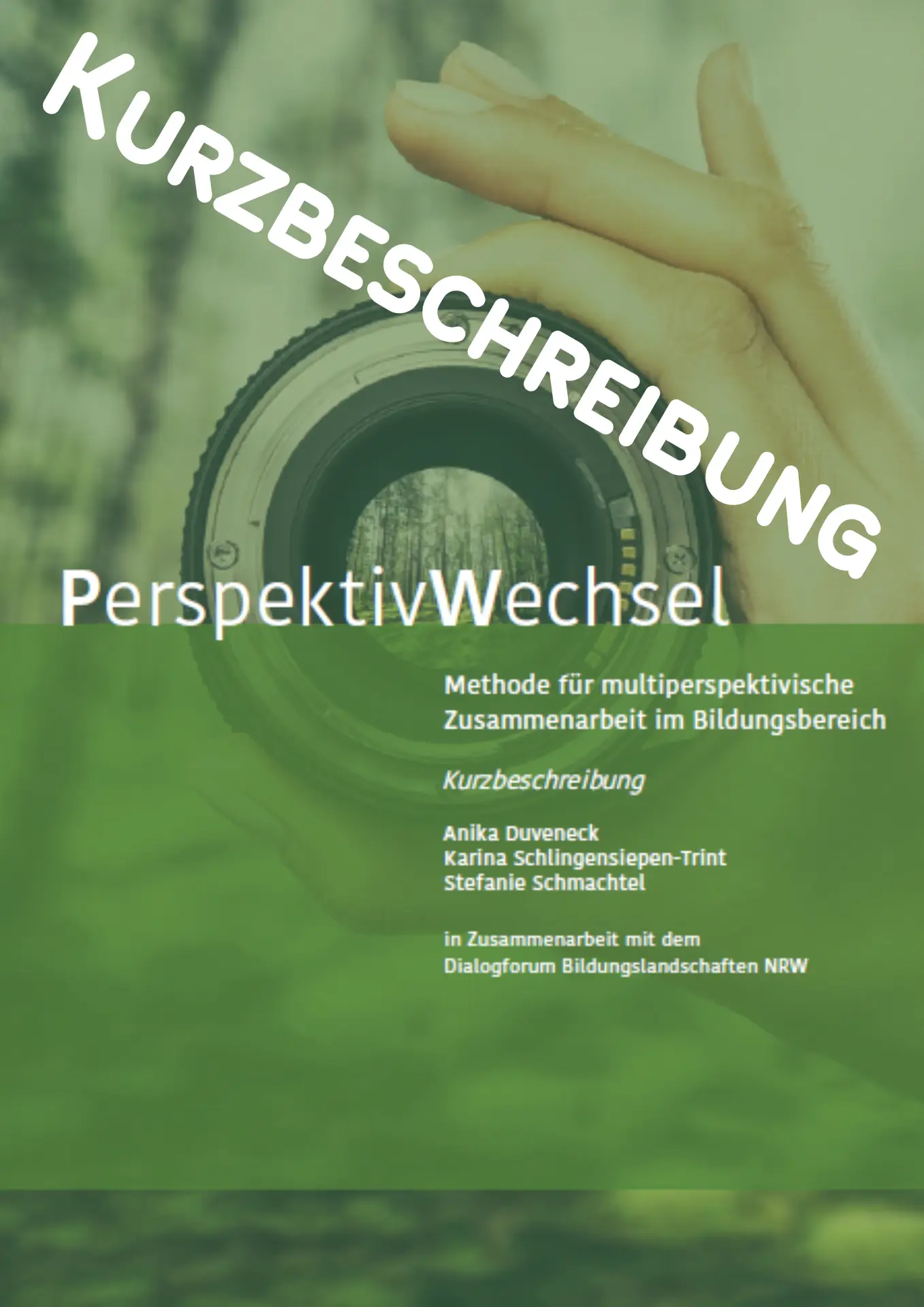 Cover Kurzbeschreibung