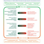 Grafik, die gleichermaßen die Gelingsbedingungen und Hürden für politische Teilhabe von Menschen mit Zuwanderungsgeschichte aufzeigt in den Bereichen Politische Bildung, Repräsentation, Parteistrukturen und Diskriminierung