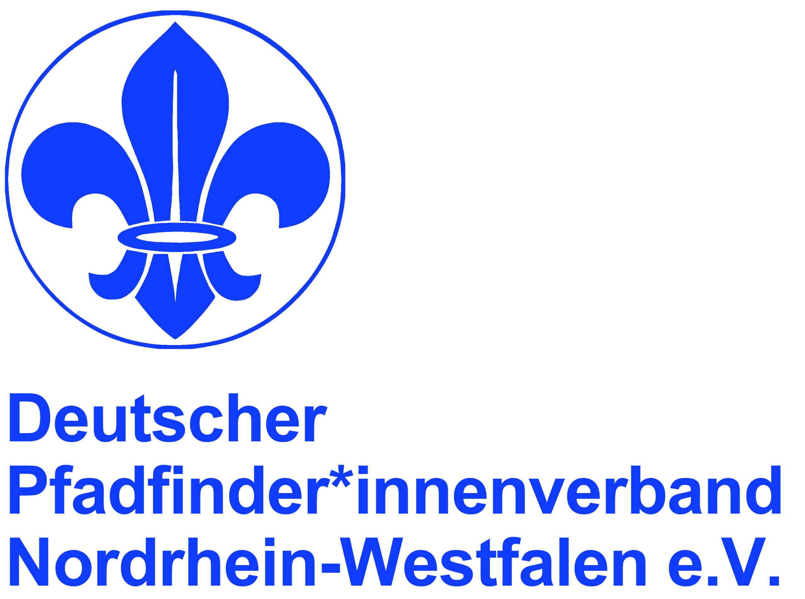 DPinnenV-NW_blau3